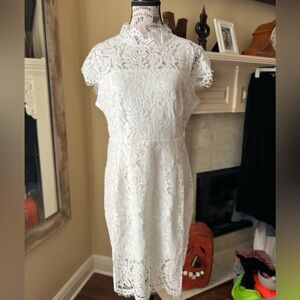 Ivory lace lined fitted dress with cap lace sleeve